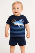 Baby Boy Outfit Set