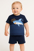 Baby Boy Outfit Set