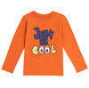 Boy longsleeve tshirt
